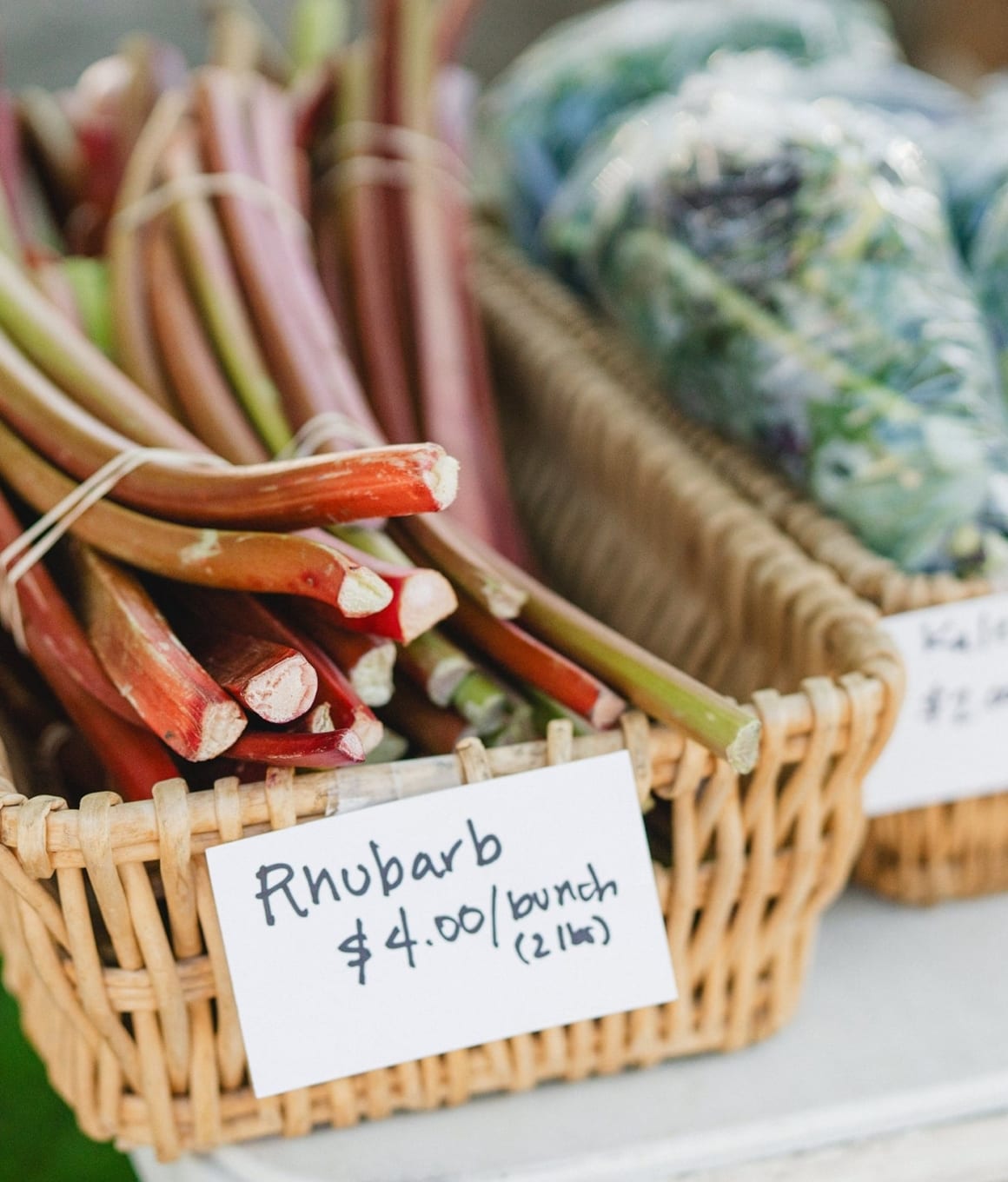 Rhubarb for sale at a local market